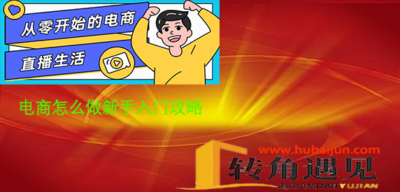 电商怎么做新手入门攻略.png